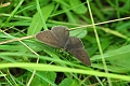 10 07 16_8998_edited-1